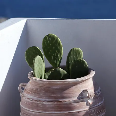 La Maison Blanche 3* Агиос-Стефанос